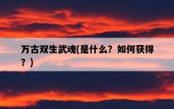 萬古雙生武魂，是什么？如何獲得？