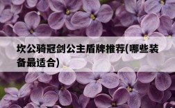 坎公騎冠劍公主盾牌推薦，哪些裝備最適合