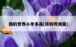 我的世界小羊多高，該如何測量