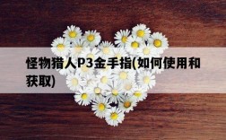 怪物獵人P3金手指，如何使用和獲取