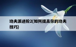 功夫派進階2，如何提高你的功夫技巧