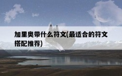 加里奧帶什么符文，最適合的符文搭配推薦