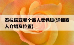 泰拉瑞亞哪個商人賣鐵錠，詳細商人介紹及位置