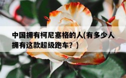 中國擁有柯尼塞格的人，有多少人擁有這款超級跑車？