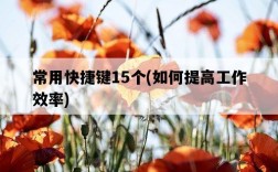 常用快捷鍵15個，如何提高工作效率