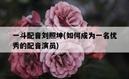 一斗配音劉照坤，如何成為一名優秀的配音演員