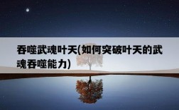 吞噬武魂葉天，如何突破葉天的武魂吞噬能力