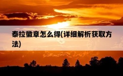 泰拉徽章怎么得，詳細解析獲取方法