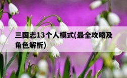三國志13個人模式，最全攻略及角色解析