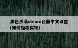 黑色沙漠steam臺服中文設置，如何輕松實現