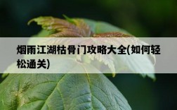 煙雨江湖枯骨門攻略大全，如何輕松通關