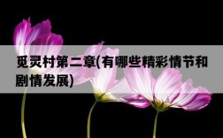 覓靈村第二章，有哪些精彩情節和劇情發展