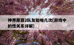 神界原罪2隊友能啪幾次，游戲中的性關系詳解