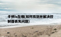 手柄ls在哪，如何找到并解決控制器丟失問題