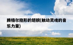 騰格爾隱形的翅膀，觸動靈魂的音樂力量