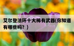 艾爾登法環十大稀有武器，你知道有哪些嗎？