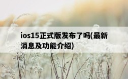 ios15正式版發布了嗎，最新消息及功能介紹