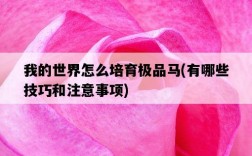 我的世界怎么培育極品馬，有哪些技巧和注意事項