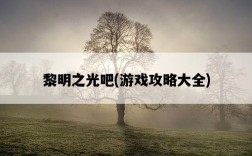 黎明之光吧，游戲攻略大全