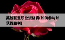 英雄聯盟職業資格賽，如何參與并獲得勝利