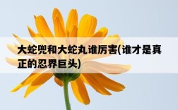 大蛇兜和大蛇丸誰厲害，誰才是真正的忍界巨頭