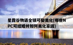 星露谷物語全鎮可娶美化，哪些NPC可結婚并如何美化家園