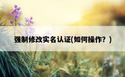 強制修改實名認證，如何操作？