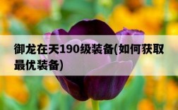御龍在天190級裝備，如何獲取最優裝備
