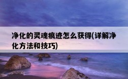 凈化的靈魂痕跡怎么獲得，詳解凈化方法和技巧