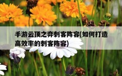 手游云頂之弈刺客陣容，如何打造高效率的刺客陣容