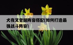 犬夜叉覺醒陣容搭配，如何打造最強戰斗陣容