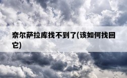 奈爾薩拉庫找不到了，該如何找回它