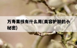 萬壽果核有什么用，美容護膚的小秘密