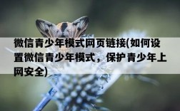 微信青少年模式網頁鏈接，如何設置微信青少年模式，保護青少年上網安全