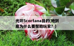 光環5cortana目的，她到底為什么要幫助玩家？