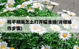 和平精英怎么打開瞄準鏡，詳細操作步驟