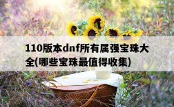110版本dnf所有屬強寶珠大全,哪些寶珠最值得收集