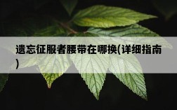 遺忘征服者腰帶在哪換，詳細指南