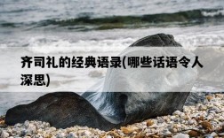 齊司禮的經典語錄，哪些話語令人深思