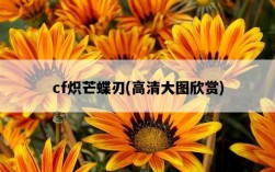 cf熾芒蝶刃，高清大圖欣賞