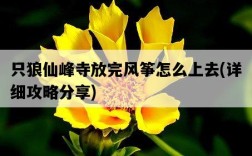 只狼仙峰寺放完風箏怎么上去，詳細攻略分享
