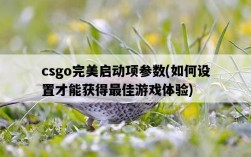 csgo完美啟動項參數，如何設置才能獲得最佳游戲體驗