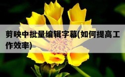 剪映中批量編輯字幕，如何提高工作效率