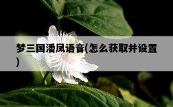 夢三國潘鳳語音，怎么獲取并設置