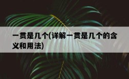 一貫是幾個，詳解一貫是幾個的含義和用法
