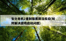 生化危機2重制版黑屏沒反應，如何解決游戲啟動問題