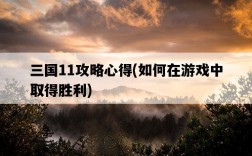 三國11攻略心得，如何在游戲中取得勝利