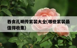 吞食孔明傳紫裝大全，哪些紫裝最值得收集