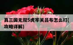 真三國無雙5虎牢關呂布怎么打，攻略詳解