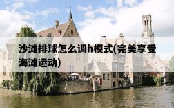 沙灘排球怎么調h模式，完美享受海灘運動
